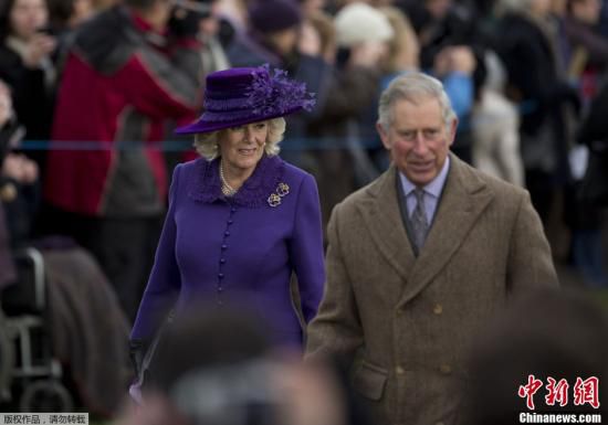 『白金汉宫』白金汉宫：查尔斯王储新型冠状病毒检测呈阳性