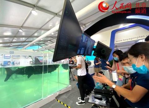 机器人|智能厨神、神奇画手、仿生鲨鱼 “机器人总动员”打造未来智能世界