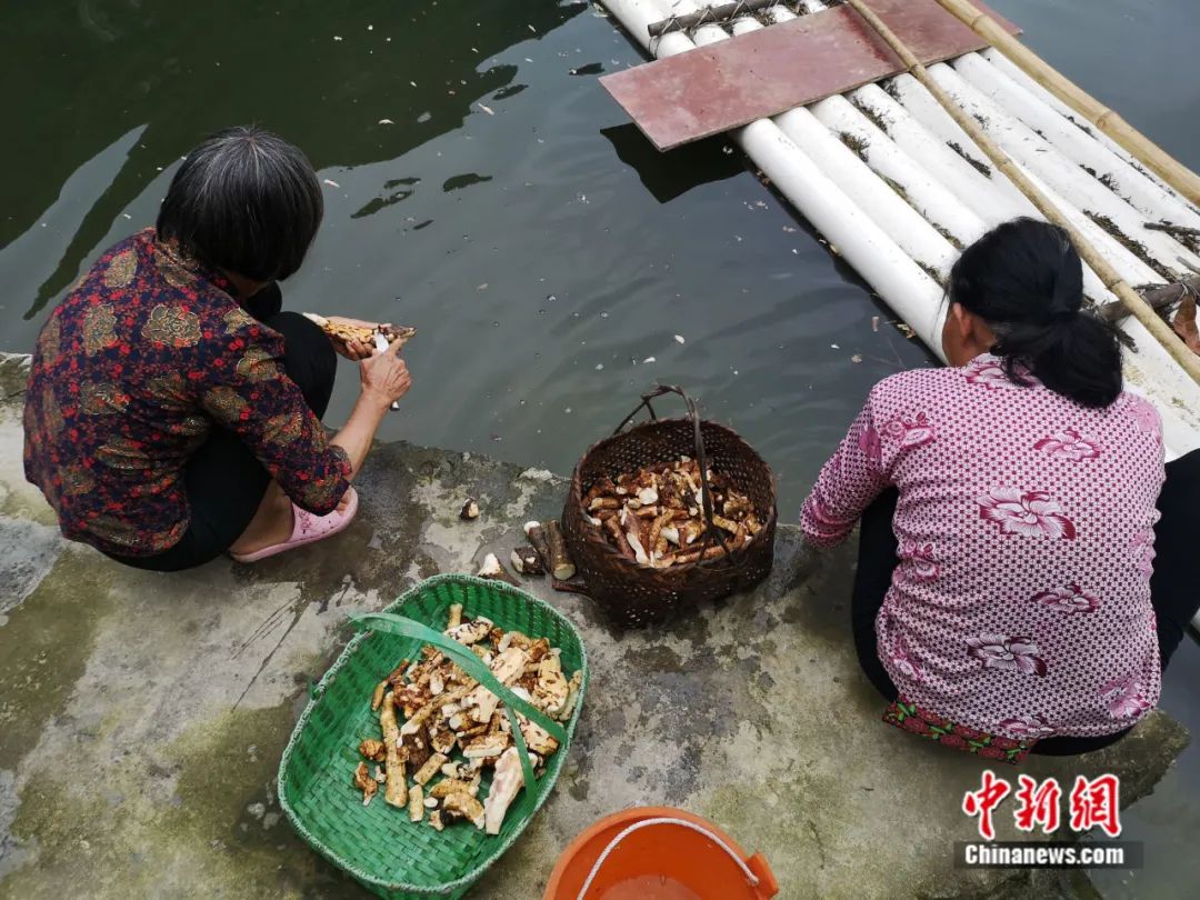 『』怪事！明明最近没下雨，广西这小山村咋被大水淹了？