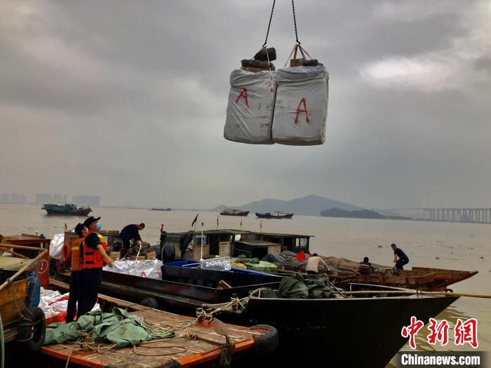 广州海关严打珠江口走私活动 前4月海关查获走私案398起