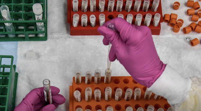 特朗普|特朗普的“十月惊喜”能否如愿？白宫顾问：可能性非常低