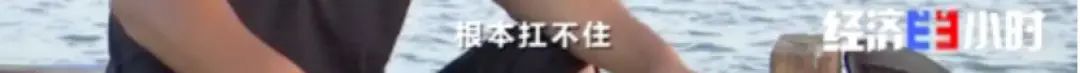 三农|一片汪洋！断电断路！不到2天，他们紧急建起364米浮桥！