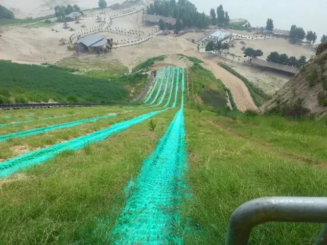 80元1票游3园5000亩丰乐樱花园古柏渡飞黄旅游区滑沙滑草丰乐大草原