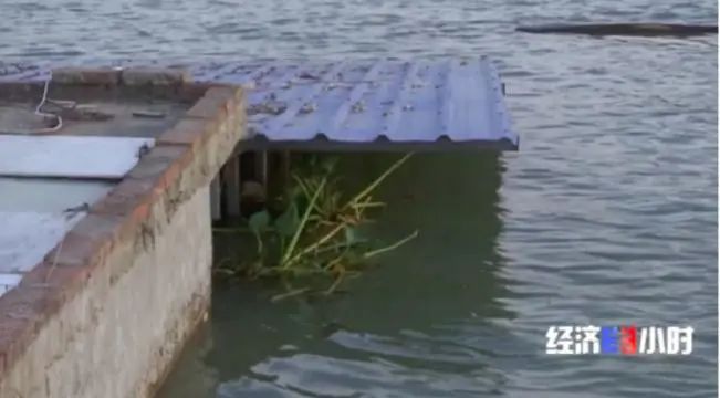 三农|一片汪洋！断电断路！不到2天，他们紧急建起364米浮桥！