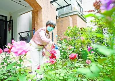 张文七旬老人康复后成养花达人：余生要“幸福像花儿一样”