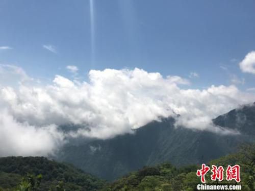 资料图：贵州省铜仁梵净山自然保护区。冷桂玉 摄