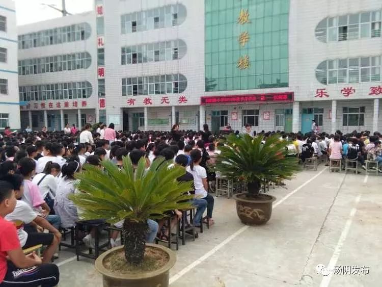 向阳路小学信合路小学光华小学实验中学岳飞中学人民路中学菜园一中