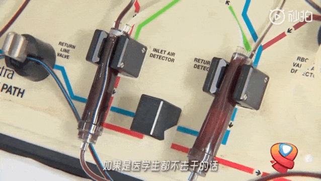 正能量|21岁女医学生的这个决定，让全网狂赞！