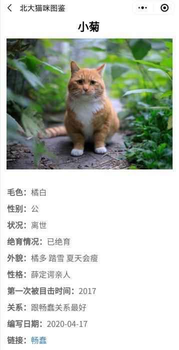 『野猫』暖心！学霸打造“北大流浪猫图鉴” 火到教学网一度崩溃……