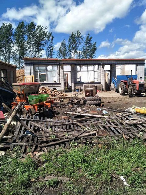 庄稼|黑龙江密山一地遭龙卷风袭击！68户民房受损，1590亩庄稼受灾