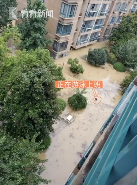 游泳|太拼！为准点完成交接 气象局职工游泳去上班