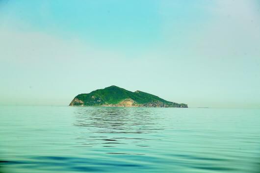 王小平|与偷蛇人斗、与捕鸟人斗 蛇岛“守蛇人”与蛇共舞40年