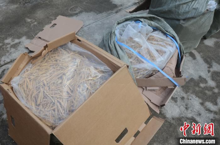 植物云南瑞丽边检站查获300余公斤濒危植物西洋参
