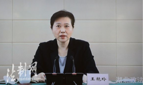 恩施|湖北恩施一涉黑案被通报：主犯曾故意伤人致死后仅服刑半年