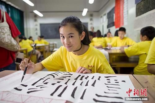 两会“侨”声：为华侨权益立法 重视二代华文教育