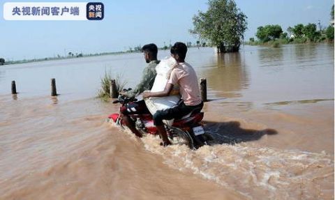 洪灾|印度阿萨姆邦洪水已造成73人死亡 370万人受灾