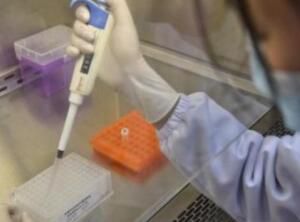 上海新增1例境外输入病例，为中国籍，在加拿大留学