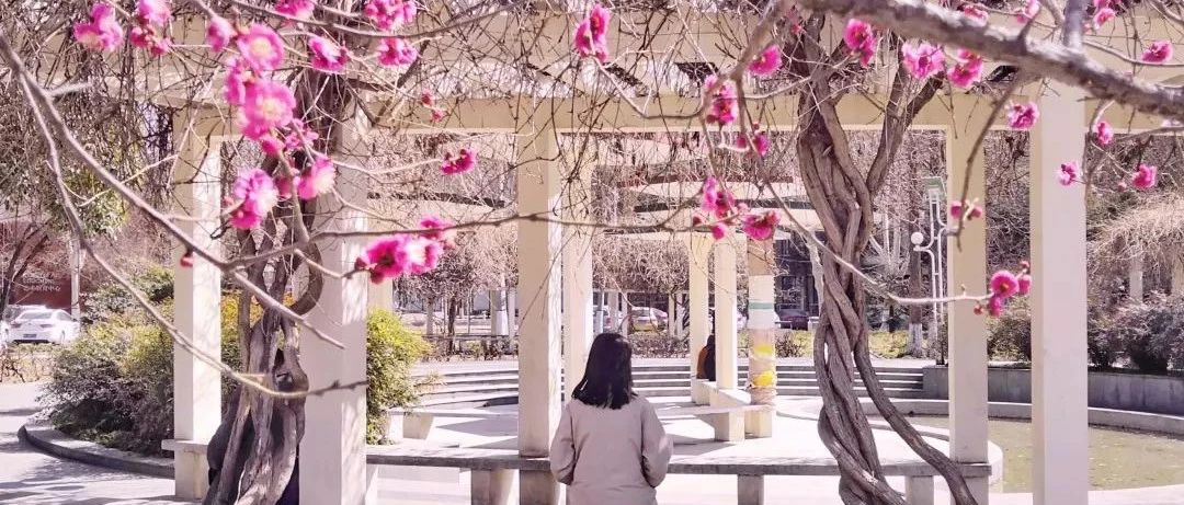 大学|报考轻工大的十个理由，你Get了吗？