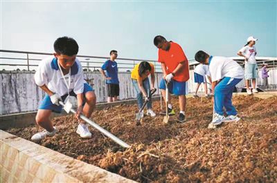 「升学考试」劳动教育来了爸妈不让干？家校合力这些学校有妙招！