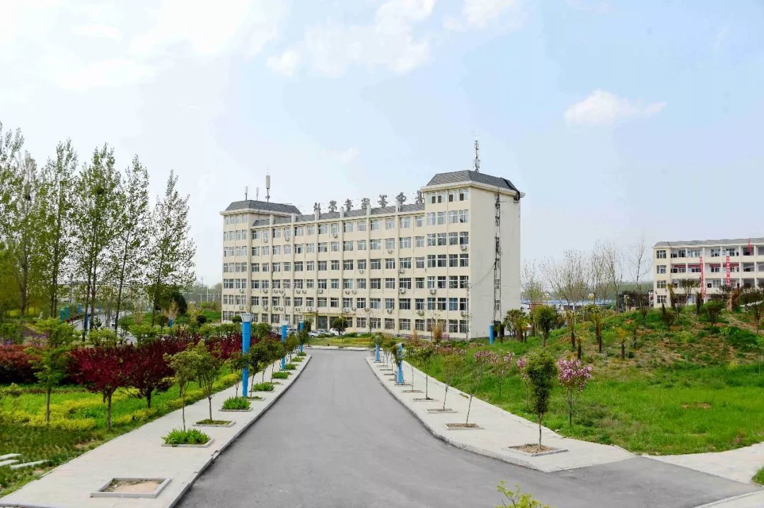 泌阳18人获双师型教师称号快看看有你认识的老师不