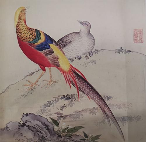 呆萌动物九头神兽清宫科普读物里有什么