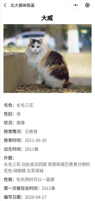 『野猫』暖心！学霸打造“北大流浪猫图鉴” 火到教学网一度崩溃……