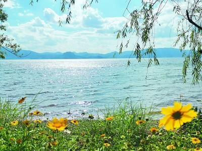 抚仙湖|青山间的抚仙湖，生态好了水也美了