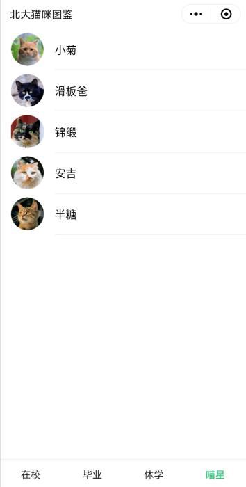 『野猫』暖心！学霸打造“北大流浪猫图鉴” 火到教学网一度崩溃……