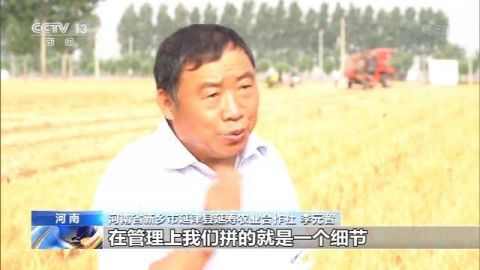 小麦农业农村部：我国麦收进度近六成 品质好于常年