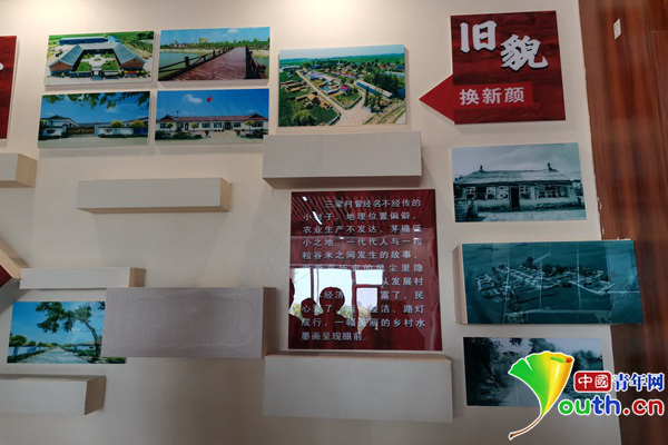 李林森|中国人的故事丨“猪倌”书记李林森：做农产品中的“爱马仕”