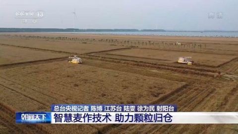 小麦农业农村部：我国麦收进度近六成 品质好于常年