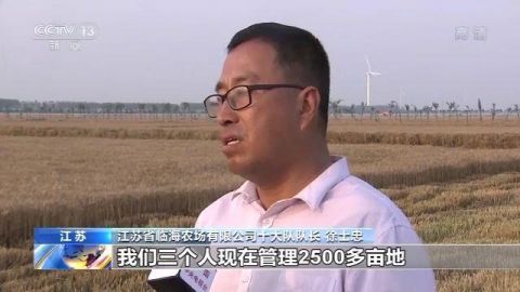 小麦农业农村部：我国麦收进度近六成 品质好于常年