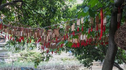 建筑广东一古村，被称为“南方周庄”，艺术气息浓厚，现为热门打卡地