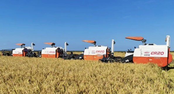 |非洲观察丨世界粮食日：中非农业合作不只是粮食援助