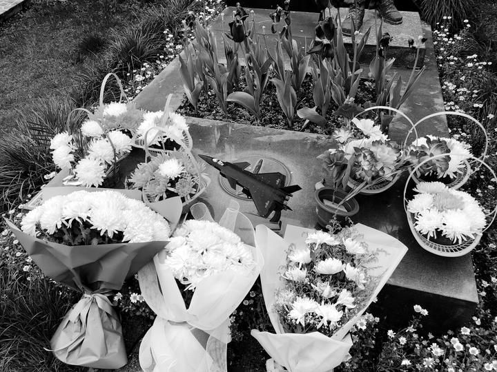 #烈士墓#英雄王伟墓前19年来鲜花不断 今年有人送来歼20模型