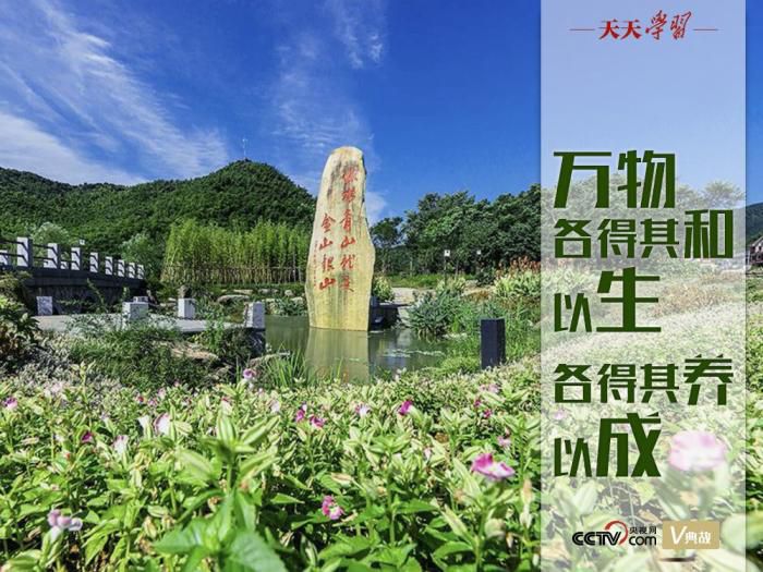 习近平|万物各得其和以生 各得其养以成