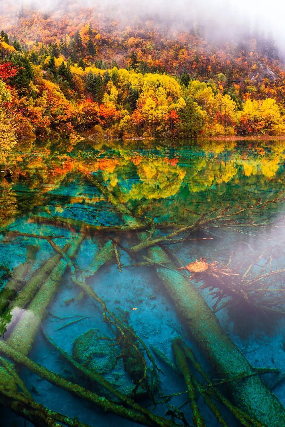 超级风景超级工程中国南方喀斯特有多美