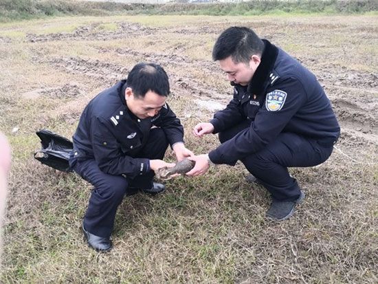 达州|达州排爆老民警累倒了 病房里妻子才知道丈夫曾经徒手抱炸弹