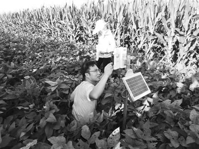 【农业】多样性丧失导致生态系统功能衰减 集约化生态农业或为治“病”良方