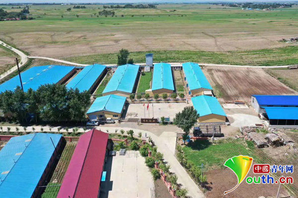 李林森|中国人的故事丨“猪倌”书记李林森：做农产品中的“爱马仕”