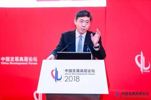 李稻葵(中国发展高层论坛供图)