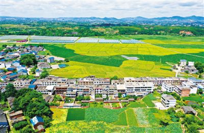 王科莲花山下，有个凤岗村（决胜2020）