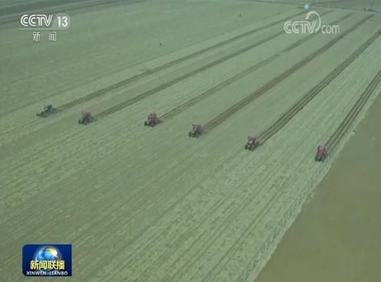 农业■绿色春耕 力促粮食稳产提质