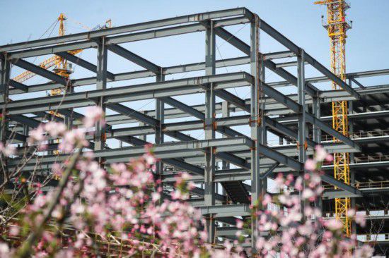 『张江』科学设施恢复建设 上海交通大学张江科学园工程复工中