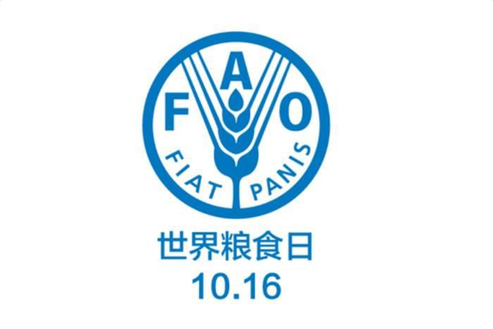 世界粮食日品中原美食文化思一米一粟之不易