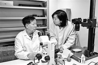 【大学】“放管服”改革如何激发大学办学活力