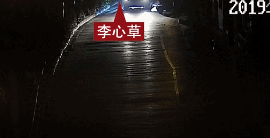 李心草|独家丨李心草坠江死亡案真相调查：从醉酒到坠江 发生了什么？