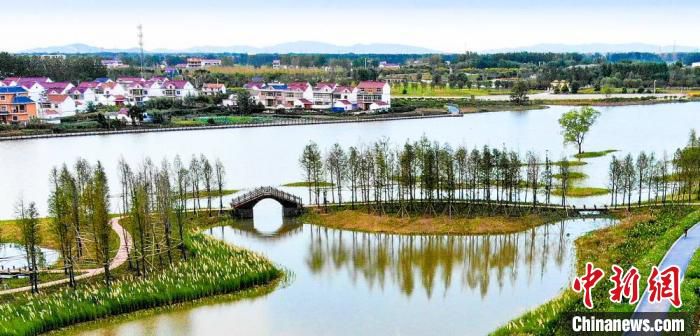 灌云探访江苏灌云潮河村：沂水河畔一湾碧 水美乡村入画来