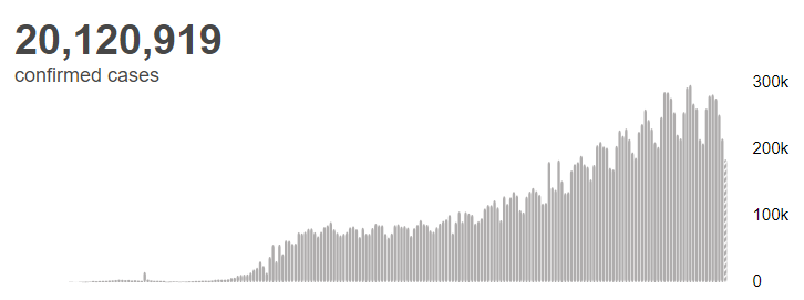 |世卫组织：全球新冠肺炎确诊病例超过2012万例