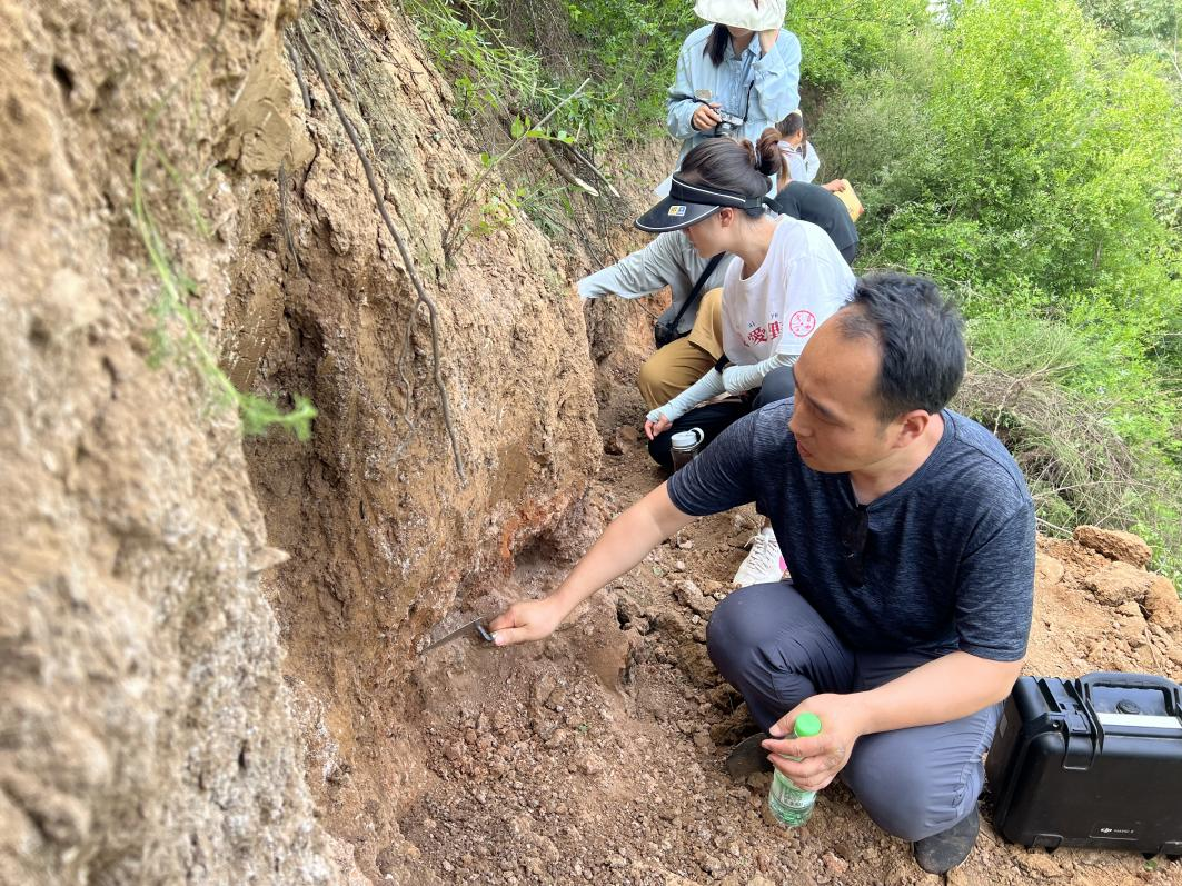 考古系 dhh.dahe.cn